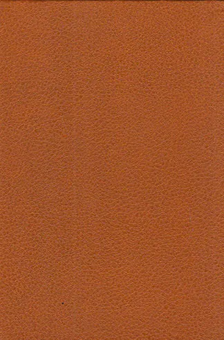 عشق هر گز نمی میرد جیبی چرم(بلندیهای بادگیر)
